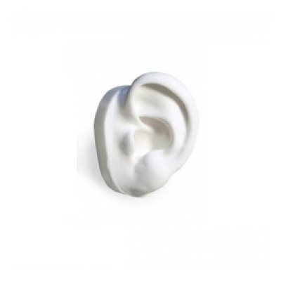 Ear Displays