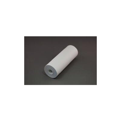 Recording Paper - Real Ear (1 roll) Recording Paper - Real Ear (1 roll)