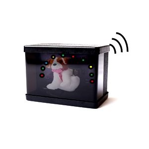 Wireless XM-5000 Optional 3D Lighted Dog Centering Unit with Sound & Motion