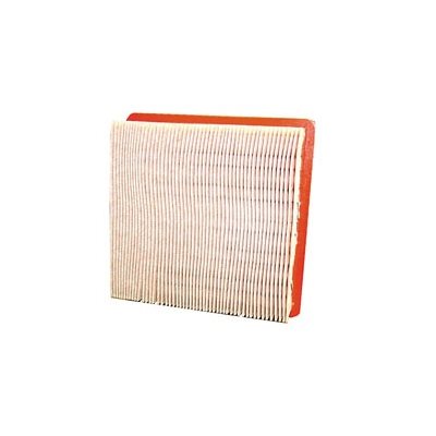 Replacement Filter for Porta Vac 550 Replacement Filter for Porta Vac 550