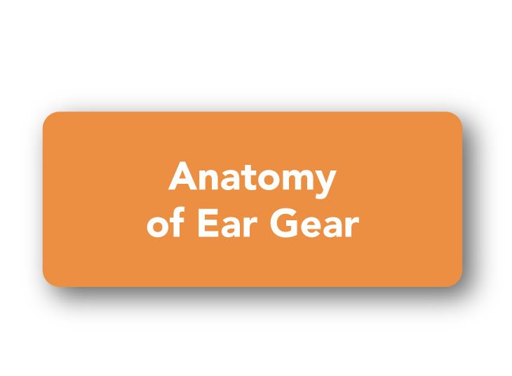 anatomy-final anatomy-final